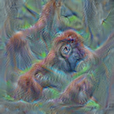n02480495